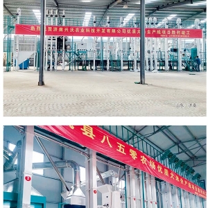 日产80-300吨成套碾米设备工程